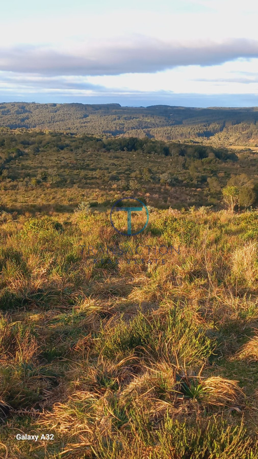 Campo Ref.1287/Chacra-medellin-6 - Campo en Garzon