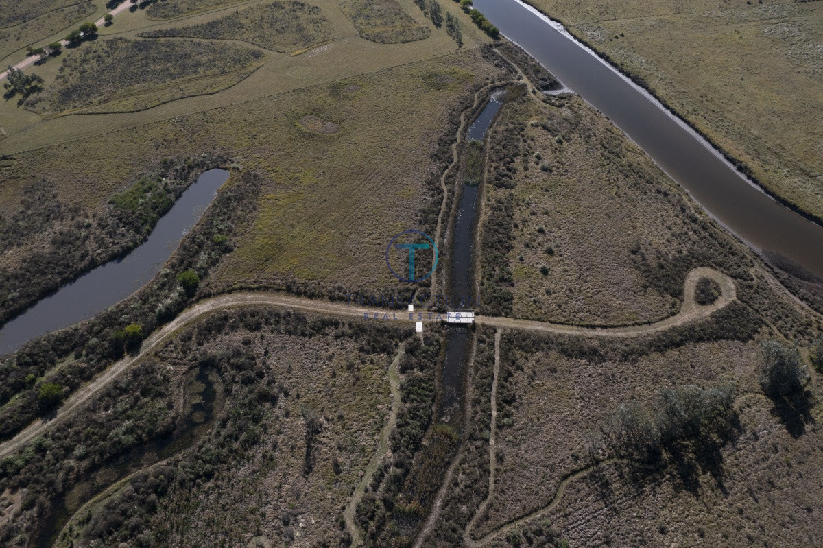 Campo Ref.51 - Vendo Chacra Medellin 3