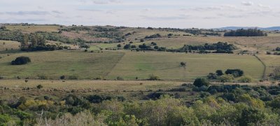 Campo Garzón