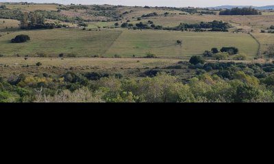 Campo Garzón