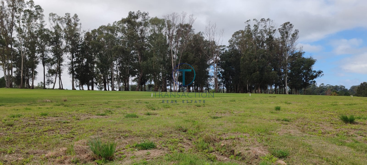Terreno ID.1487/Amplios-Terrenos-en-venta-en-zona-Barrio-Golf,-Punta-del-Este - Terreno en Manantiales, Pueblo Mio