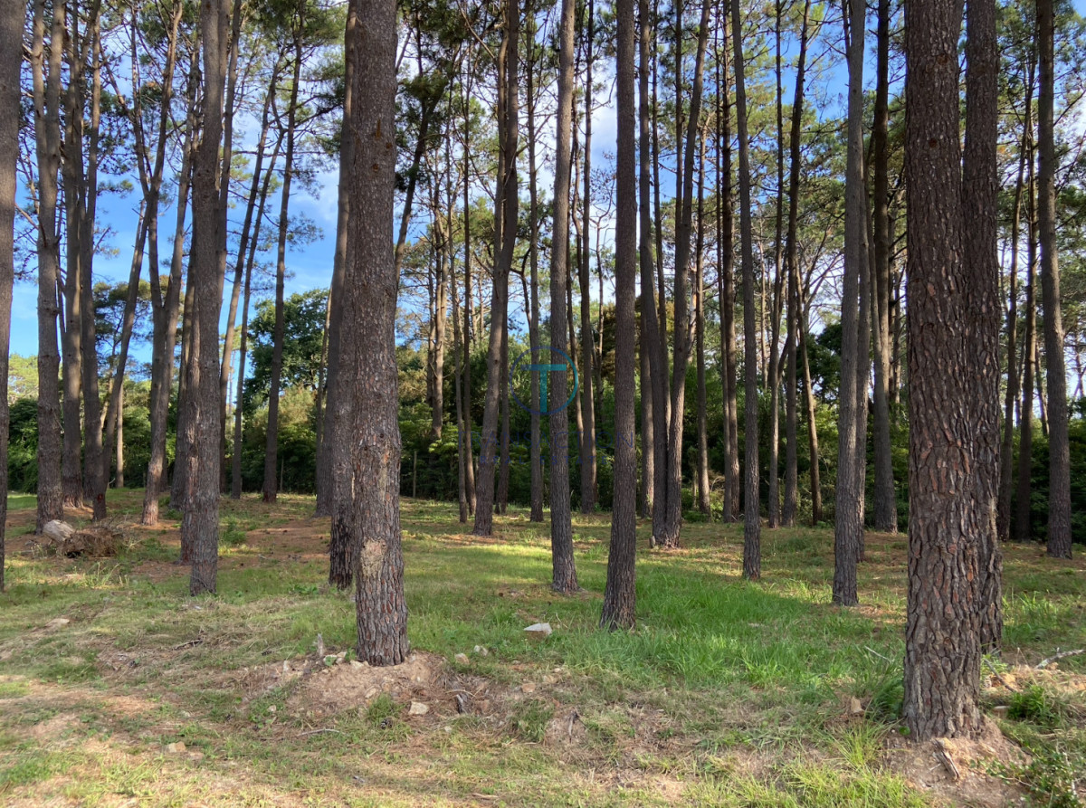 Terreno ID.1599/Terreno-Jardines-de-Cordoba - TERRENO EN VENTA BARRIO DON MIGUEL 