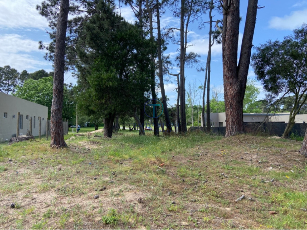 Terreno ID.1579 - TERRENO BEVERLY HILLS