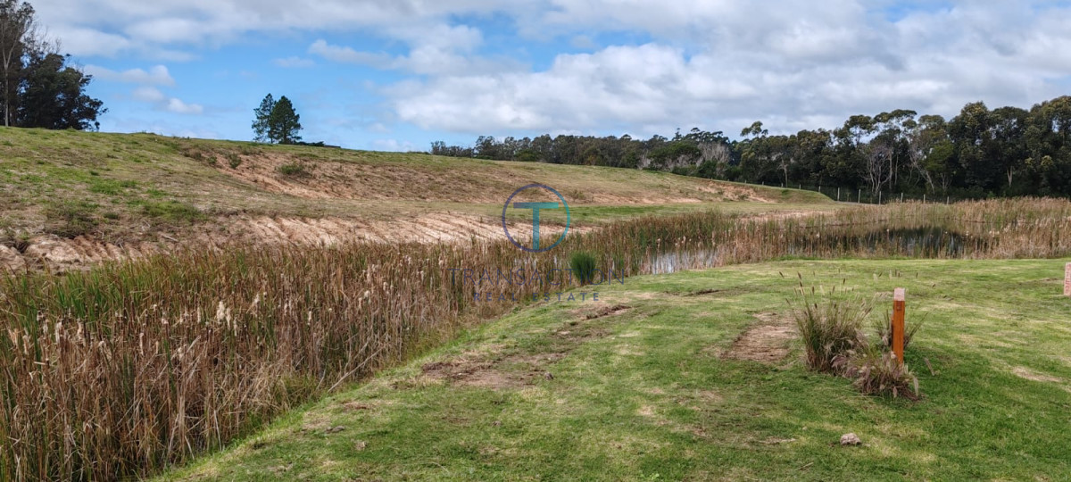 Terreno ID.1487/Amplios-Terrenos-en-venta-en-zona-Barrio-Golf,-Punta-del-Este - Terreno en Manantiales, Pueblo Mio
