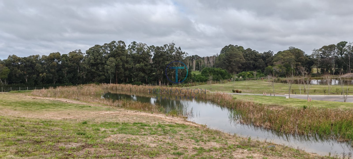 Terreno ID.1487/Amplios-Terrenos-en-venta-en-zona-Barrio-Golf,-Punta-del-Este - Terreno en Manantiales, Pueblo Mio