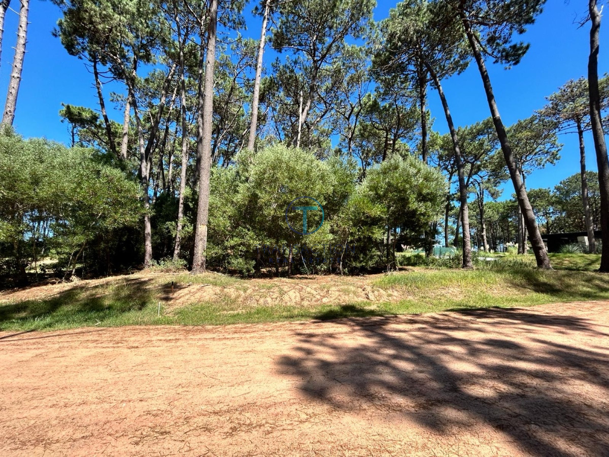 Terreno ID.975/Venta-de-Terreno-en-Arenas-de-José-Ignacio - Venta - Terreno - Montoya - La Barra 