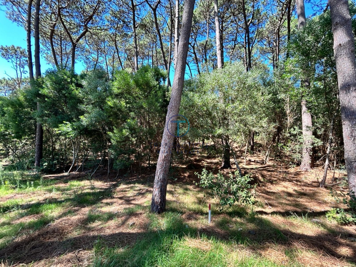 Terreno ID.975/Venta-de-Terreno-en-Arenas-de-José-Ignacio - Venta - Terreno - Montoya - La Barra 