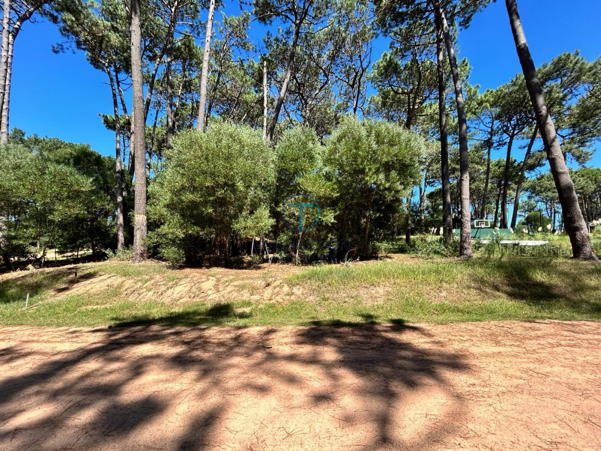 Terreno ID.975/Venta-de-Terreno-en-Arenas-de-José-Ignacio - Venta - Terreno - Montoya - La Barra 
