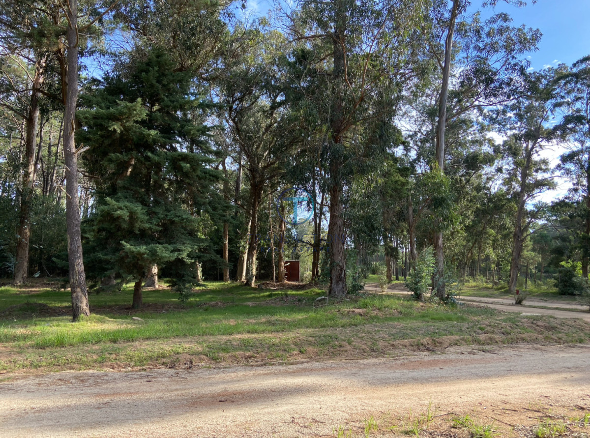 Terreno ID.1598/TERRENO-EN-VENTA-B.-BUENOS-AIRES - TERRENO EN BARRIO DON MIGUEL