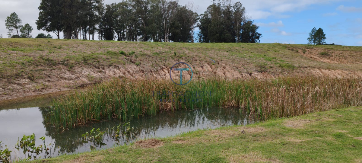 Terreno ID.1487/Amplios-Terrenos-en-venta-en-zona-Barrio-Golf,-Punta-del-Este - Terreno en Manantiales, Pueblo Mio