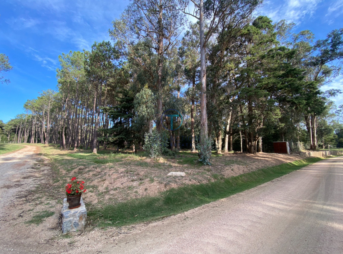 Terreno ID.1598/TERRENO-EN-VENTA-B.-BUENOS-AIRES - TERRENO EN BARRIO DON MIGUEL
