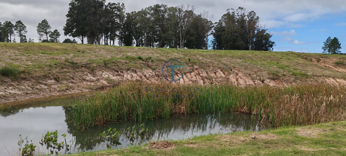Terreno ID.1487/Amplios-Terrenos-en-venta-en-zona-Barrio-Golf,-Punta-del-Este - Terreno en Manantiales, Pueblo Mio