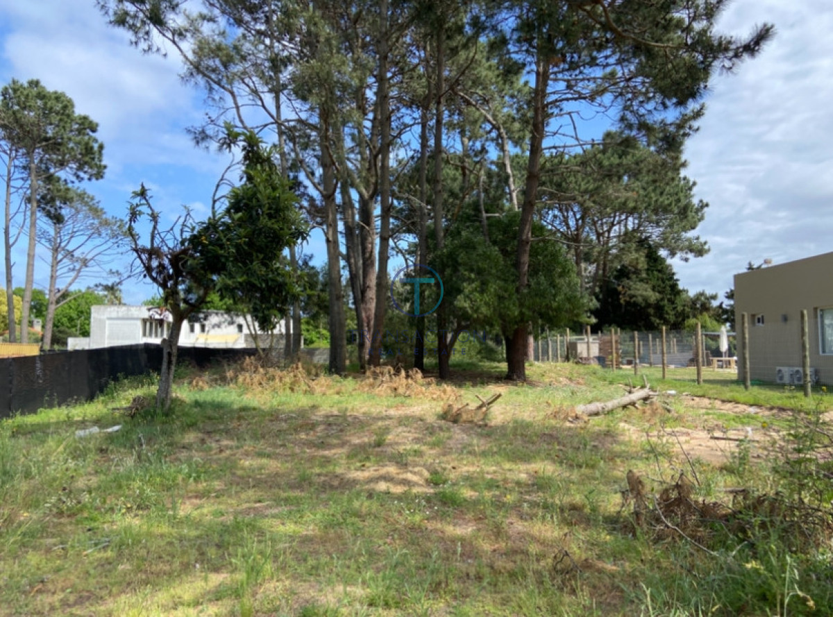 Terreno ID.1579 - TERRENO BEVERLY HILLS