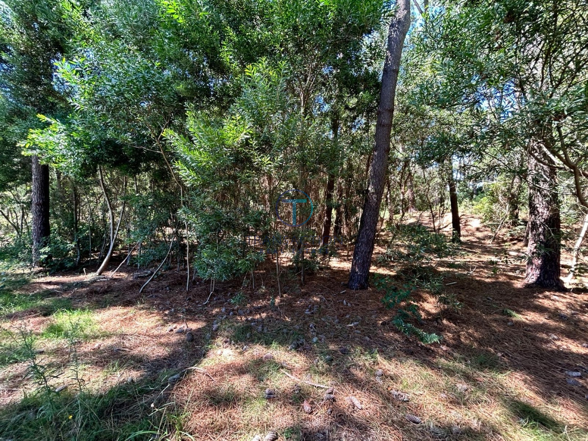 Terreno ID.975/Venta-de-Terreno-en-Arenas-de-José-Ignacio - Venta - Terreno - Montoya - La Barra 