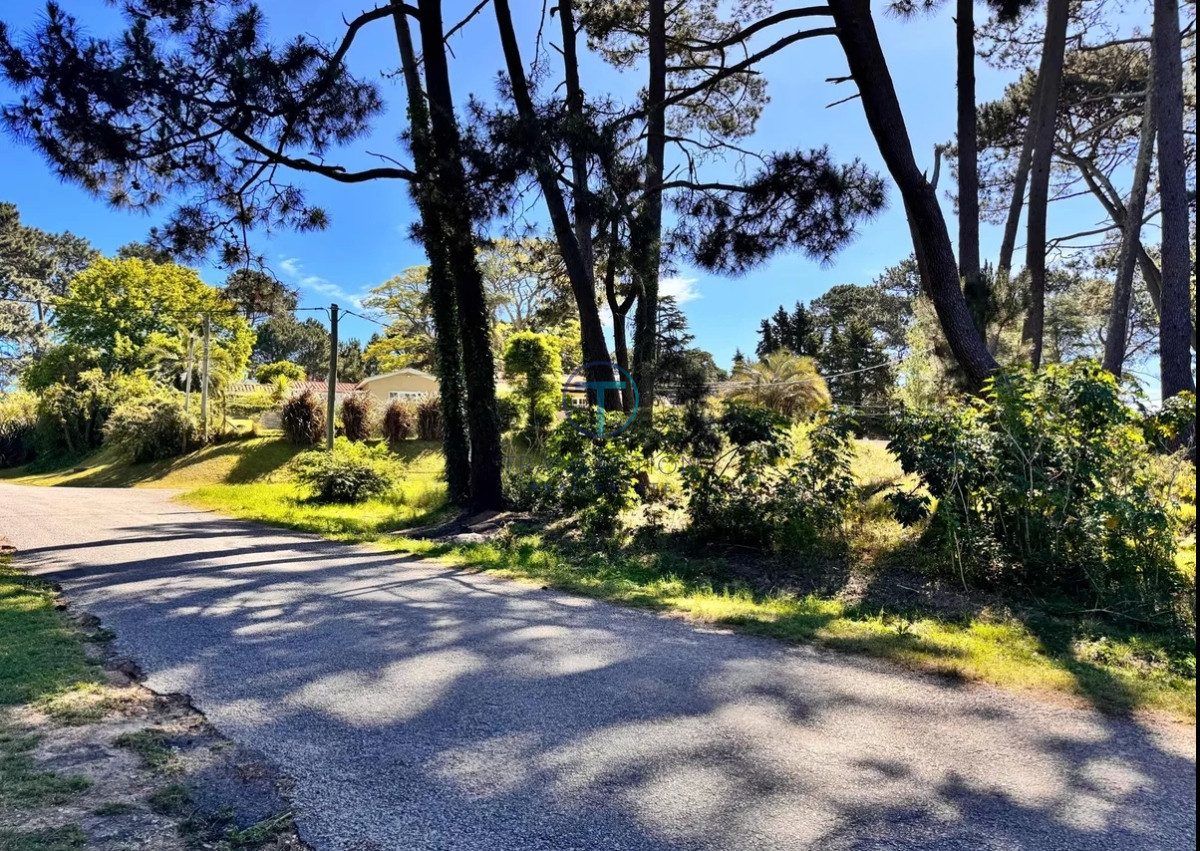 Terreno ID.1277/Roosevelt,-Punta-del-Este.- - Terreno en Maldonado, Bo. Córdoba