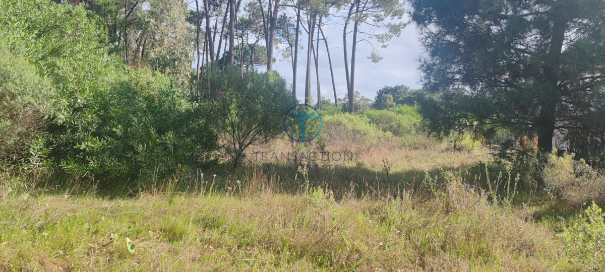 Terreno ID.1606/Amplios-Terrenos-en-venta-en-zona-Barrio-Golf,-Punta-del-Este - Terreno en BARRA VERDE