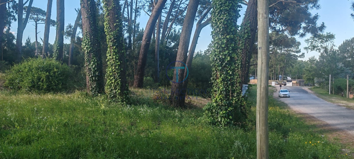 Terreno ID.1277/Terreno-Manzana-en-Beverly-Hills,-Punta-del-Este - Terreno en Maldonado, Bo. Córdoba