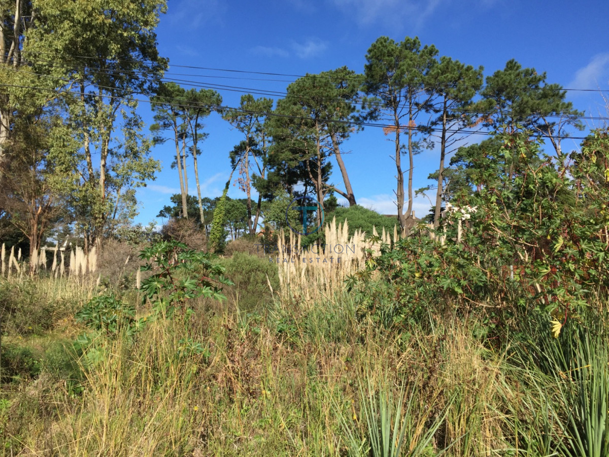 Terreno ID.1569/Venta-de-Terreno-en-Arenas-de-José-Ignacio - Terreno Jardines de Cordoba