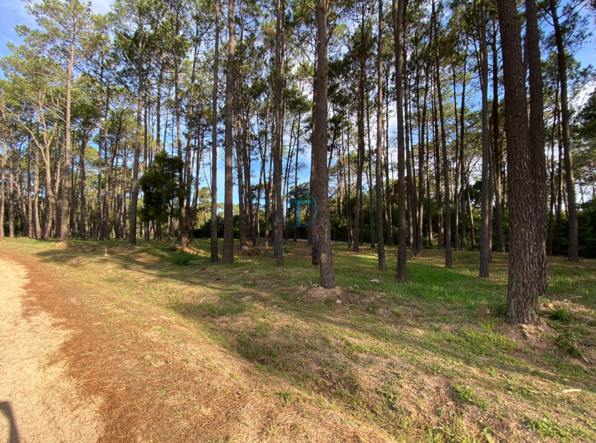 Terreno ID.1599/Terreno-en-venta-balneario-buenos-aires - TERRENO EN VENTA BARRIO DON MIGUEL 