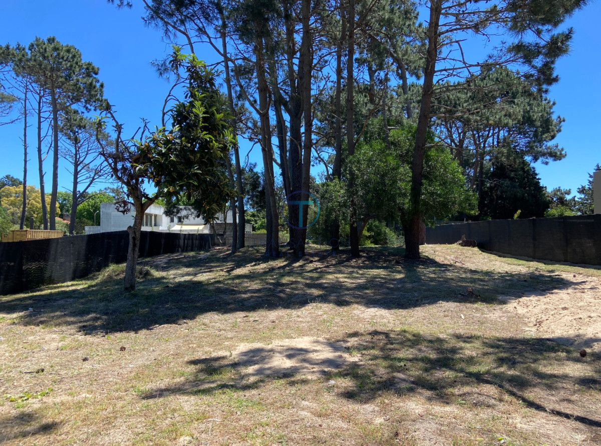 Terreno ID.1579 - TERRENO BEVERLY HILLS