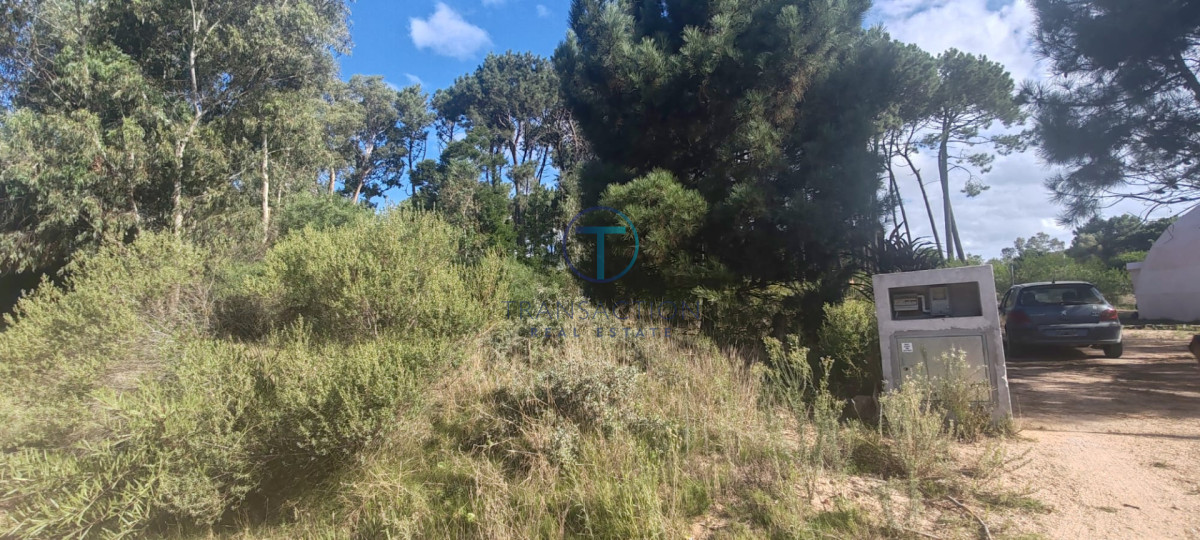 Terreno ID.1606/Amplios-Terrenos-en-venta-en-zona-Barrio-Golf,-Punta-del-Este - Terreno en BARRA VERDE