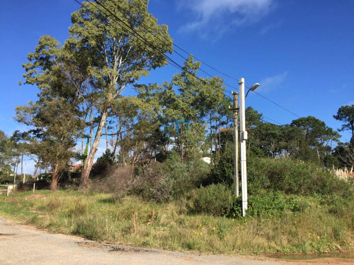 Terreno ID.1569/Venta-de-Terreno-en-Arenas-de-José-Ignacio - Terreno Jardines de Cordoba