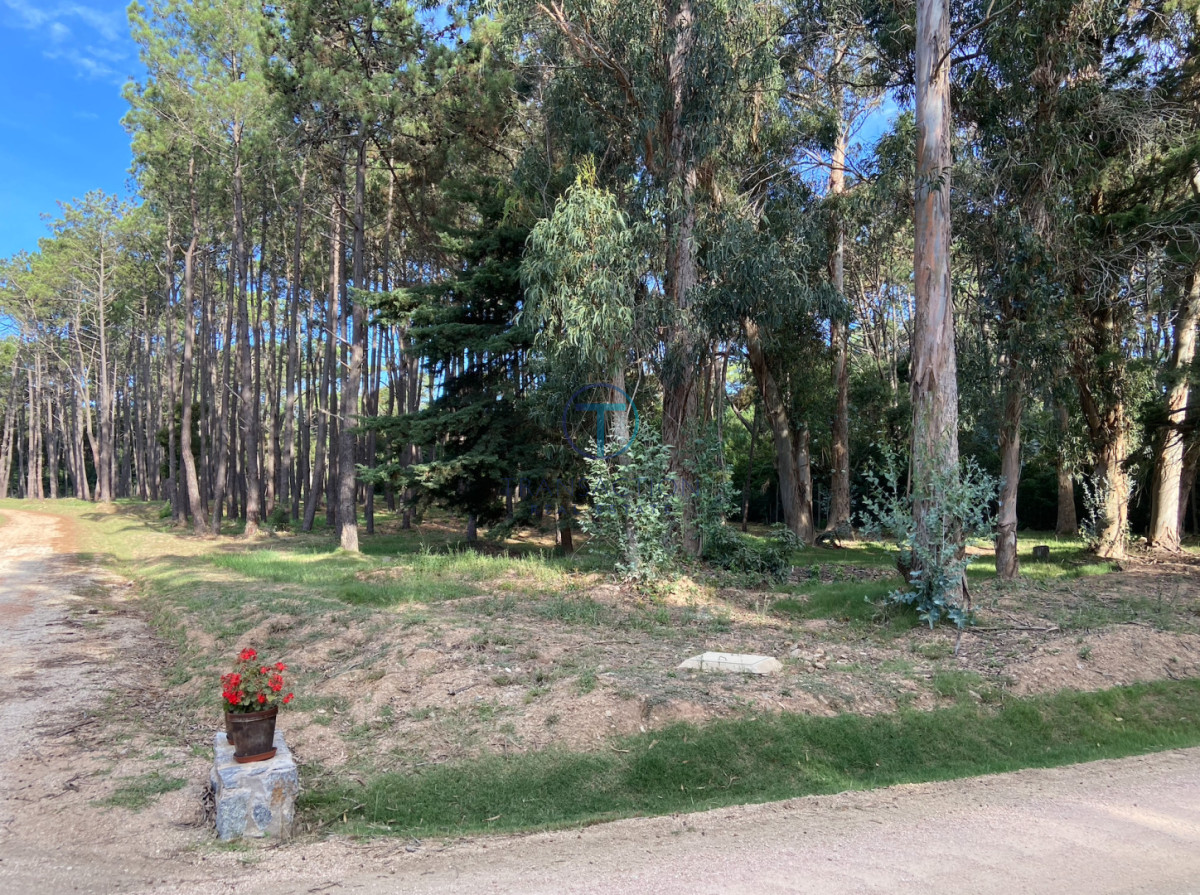 Terreno ID.1598/TERRENO-EN-VENTA-B.-BUENOS-AIRES - TERRENO EN BARRIO DON MIGUEL