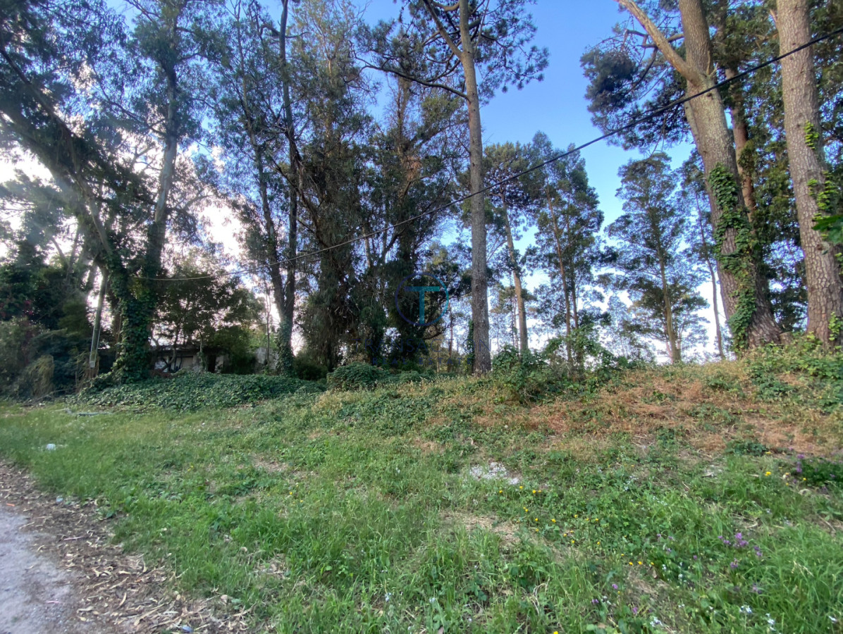 Terreno ID.1277/Terreno-Manzana-en-Beverly-Hills,-Punta-del-Este - Terreno en Maldonado, Bo. Córdoba