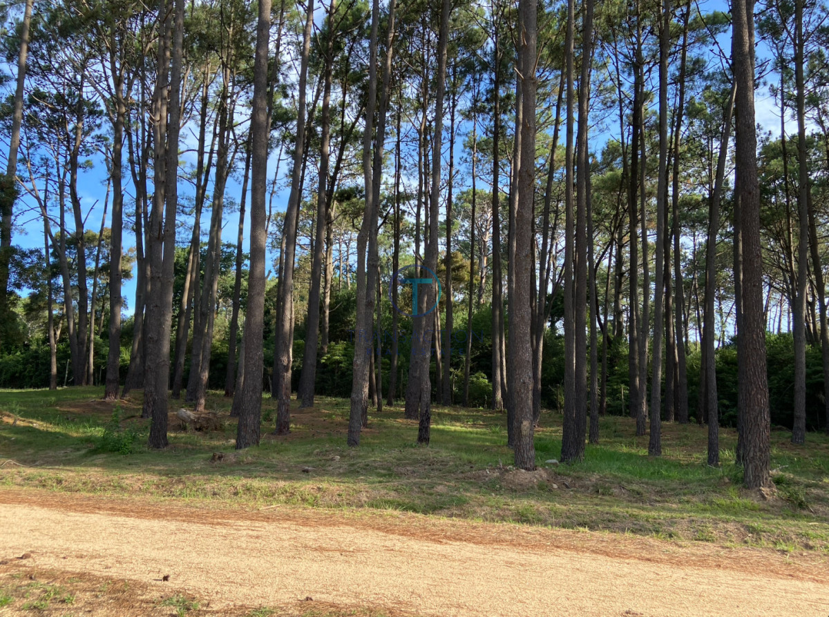 Terreno ID.1599/Terreno-en-venta-balneario-buenos-aires - TERRENO EN VENTA BARRIO DON MIGUEL 