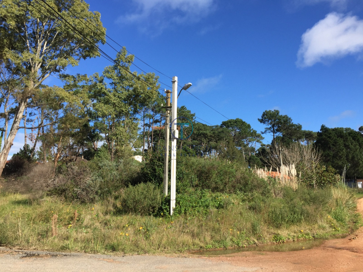 Terreno ID.1569/Venta-de-Terreno-en-Arenas-de-José-Ignacio - Terreno Jardines de Cordoba