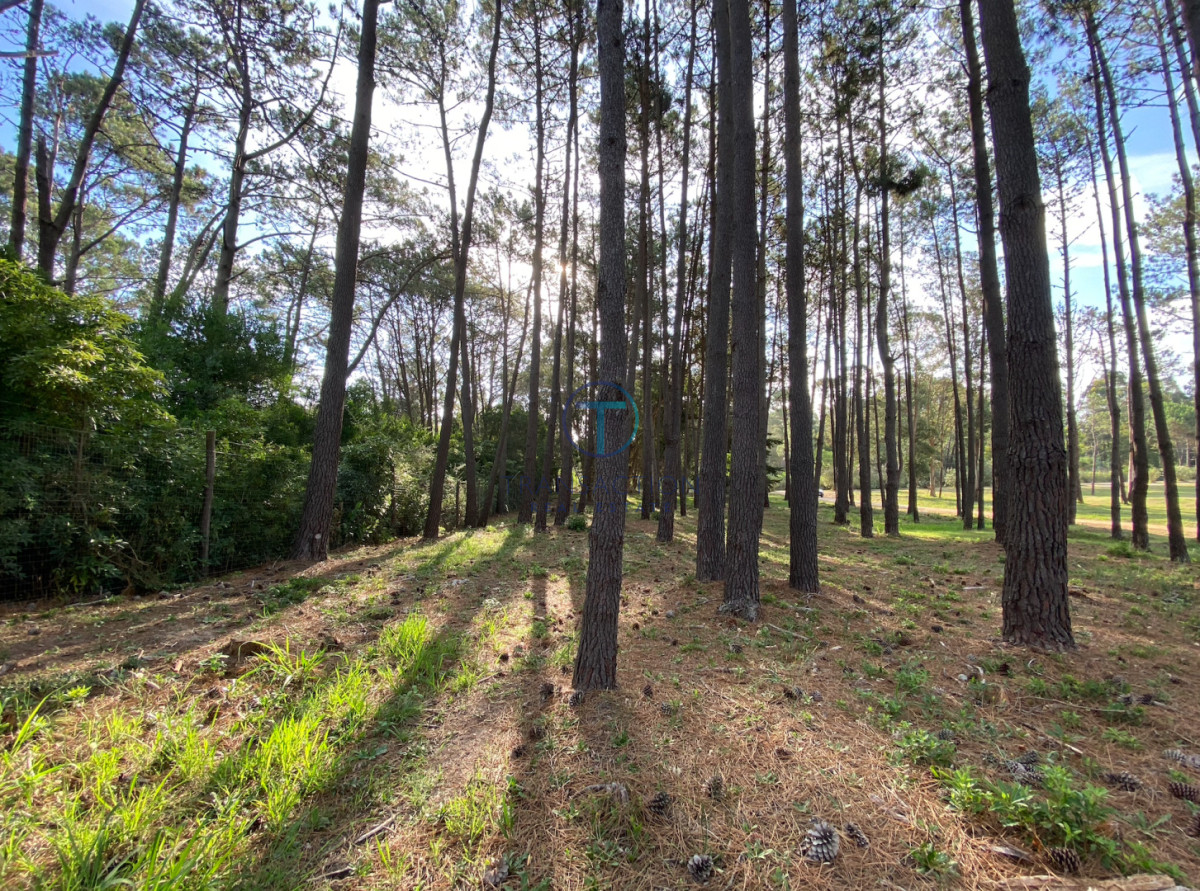 Terreno ID.1599/Terreno-en-venta-balneario-buenos-aires - TERRENO EN VENTA BARRIO DON MIGUEL 