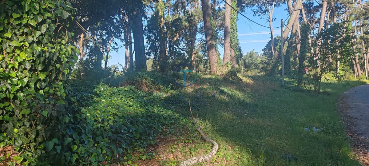 Terreno ID.1277/Terreno-Manzana-en-Beverly-Hills,-Punta-del-Este - Terreno en Maldonado, Bo. Córdoba