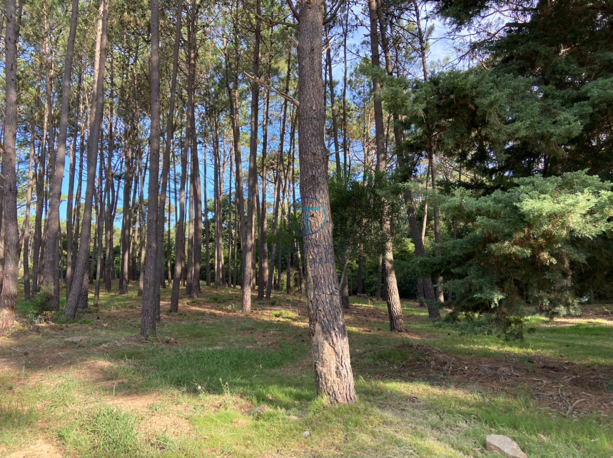 Terreno ID.1598/TERRENO-EN-VENTA-B.-BUENOS-AIRES - TERRENO EN BARRIO DON MIGUEL