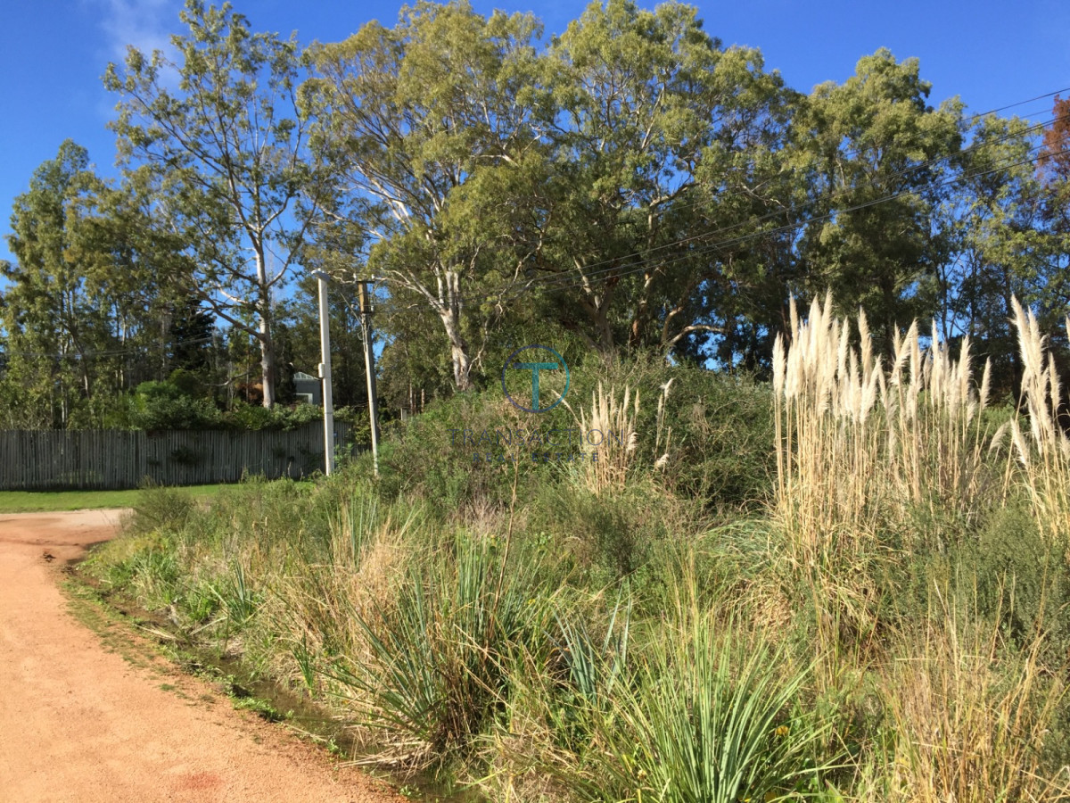 Terreno ID.1569/Venta-de-Terreno-en-Arenas-de-José-Ignacio - Terreno Jardines de Cordoba