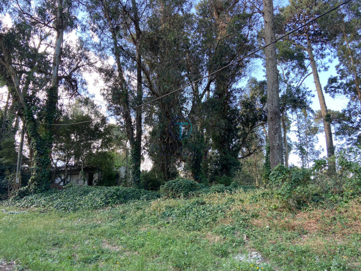 Terreno ID.1277/Terreno-Manzana-en-Beverly-Hills,-Punta-del-Este - Terreno en Maldonado, Bo. Córdoba