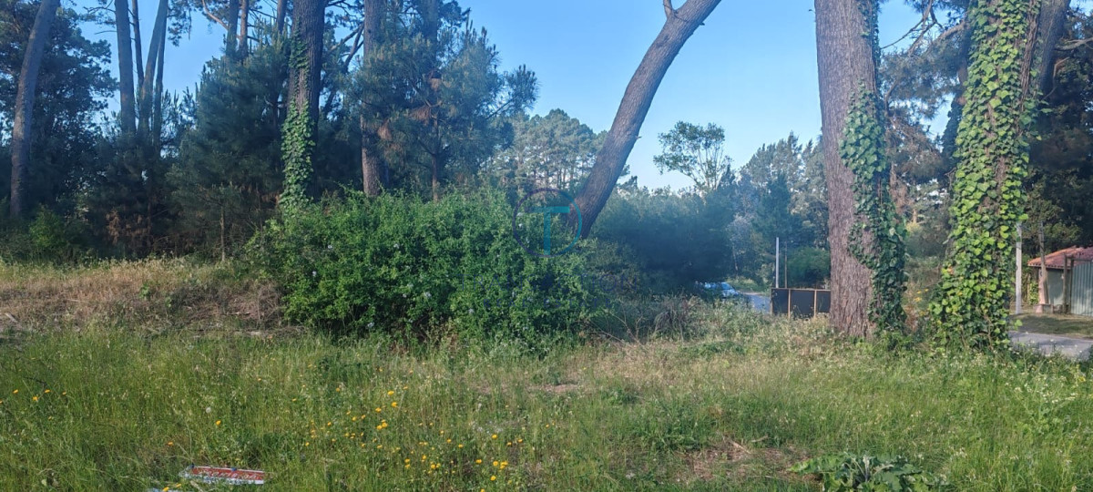 Terreno ID.1277/Terreno-Manzana-en-Beverly-Hills,-Punta-del-Este - Terreno en Maldonado, Bo. Córdoba