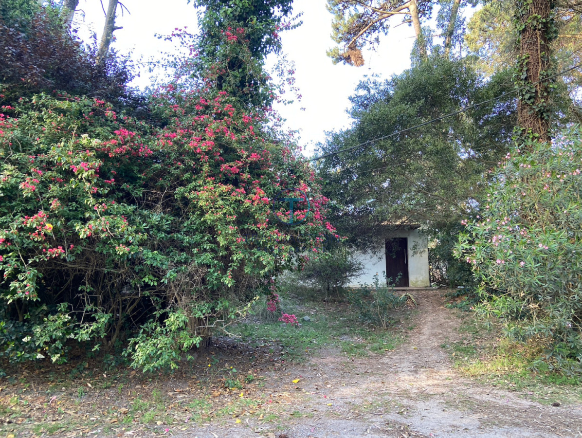 Terreno ID.1277/Terreno-Manzana-en-Beverly-Hills,-Punta-del-Este - Terreno en Maldonado, Bo. Córdoba