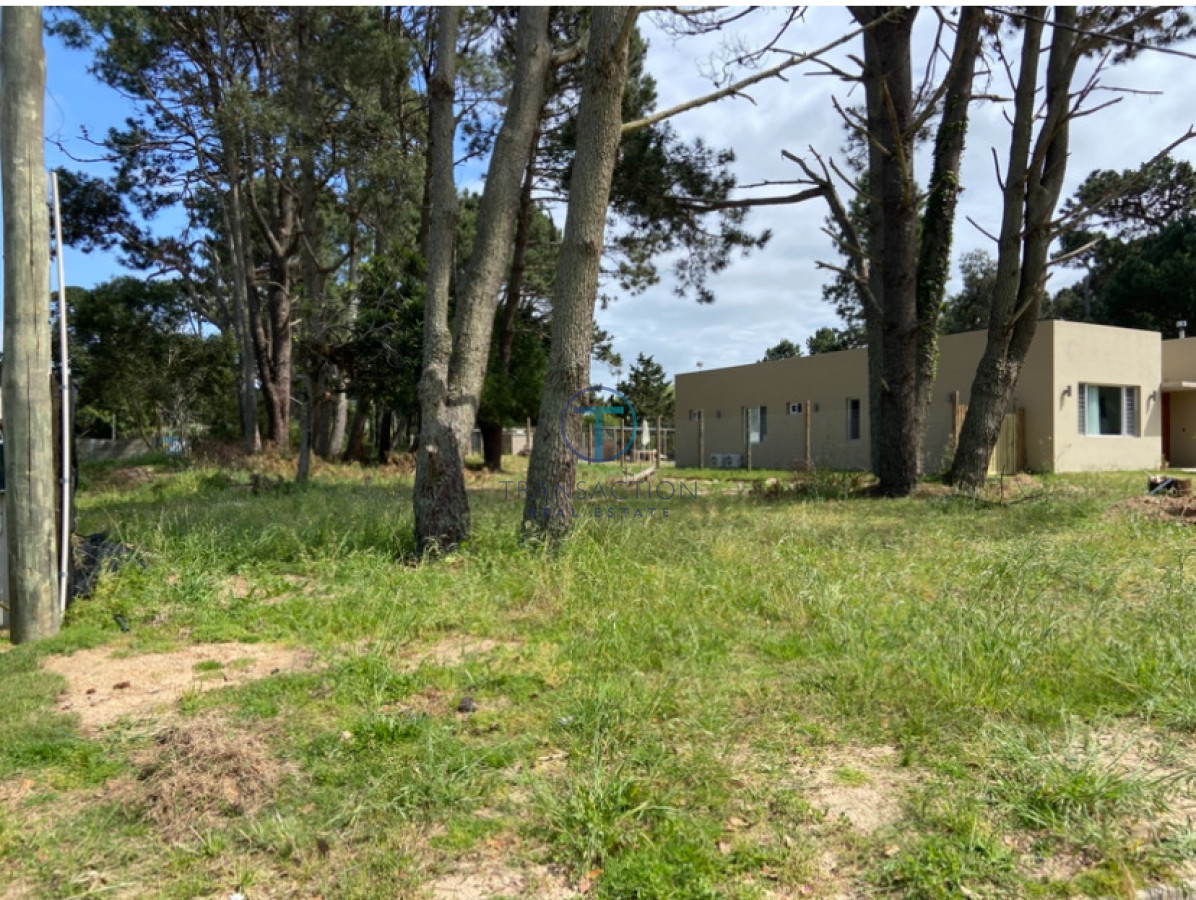 Terreno ID.1579/Terreno-Arenas,-Jose-Ignacio - TERRENO BEVERLY HILLS