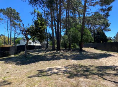 TERRENO BEVERLY HILLS