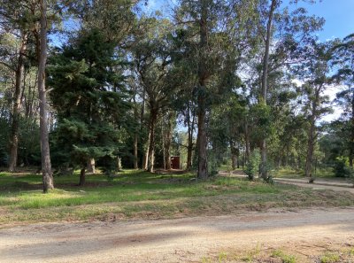 TERRENO EN BARRIO DON MIGUEL
