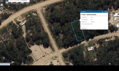 Chihuahua magnificos lotes , juntos o separados de 1014 mt2