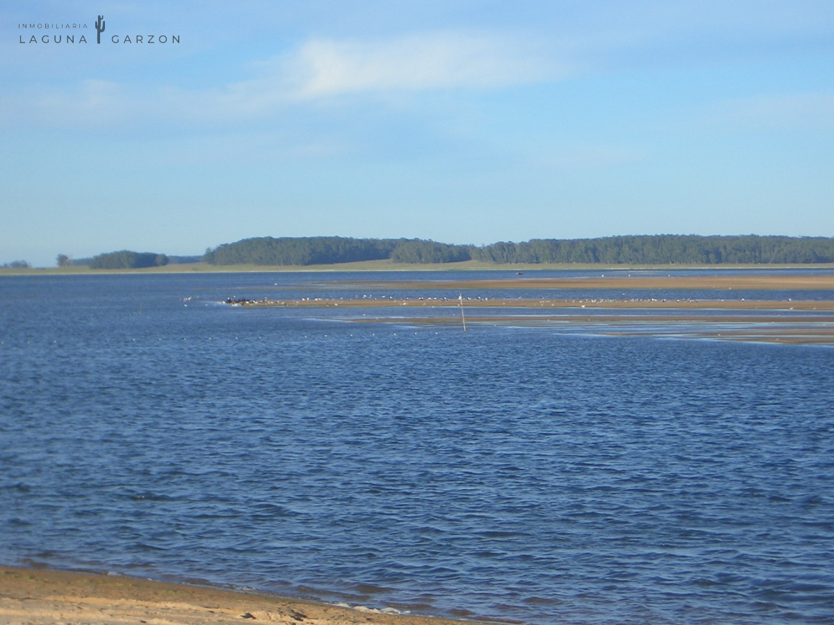 Campo Ref.82 - Campo Exclusivo sobre Laguna de Rocha con Vista al Océano Atlántico