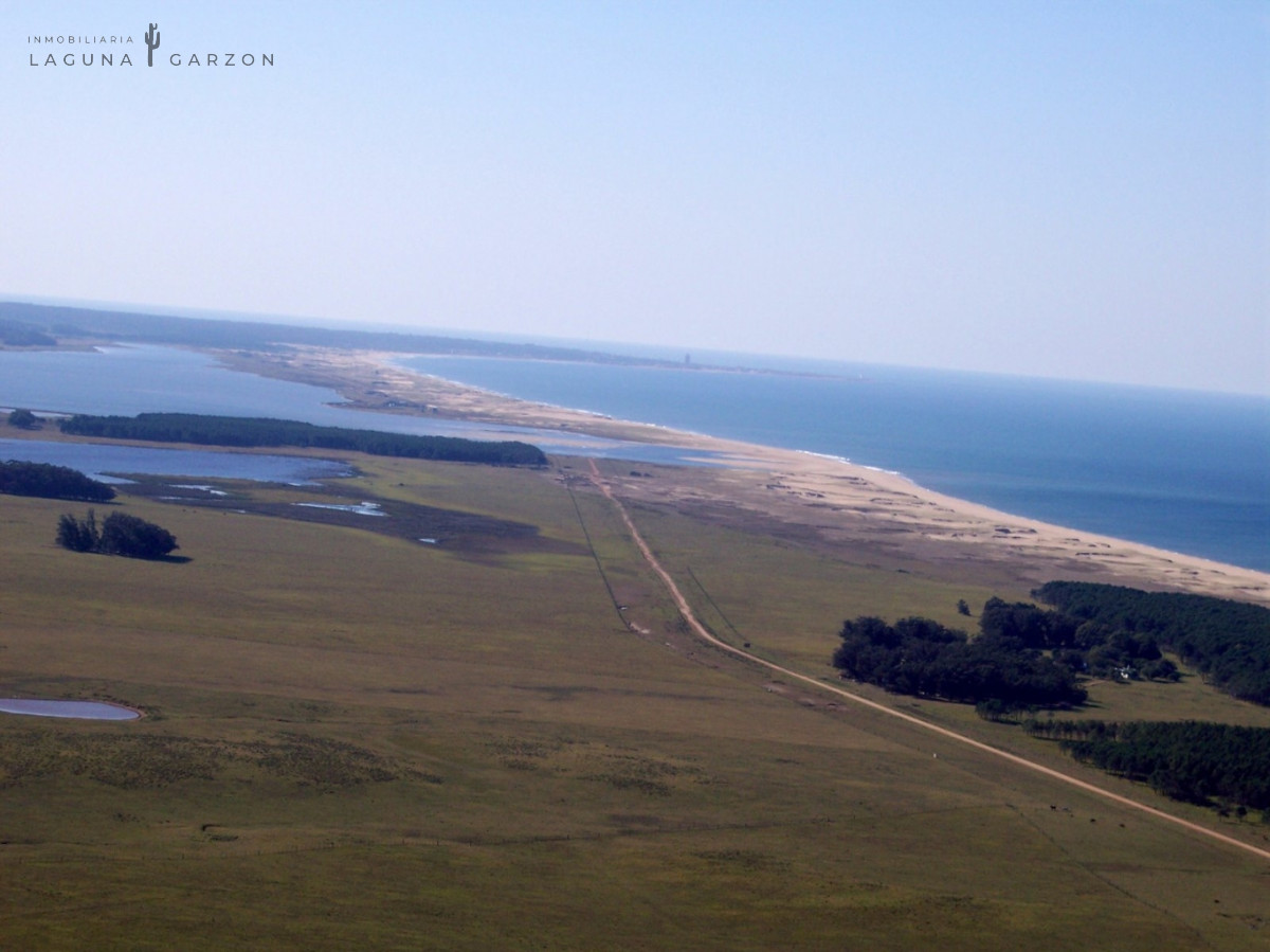 Campo Ref.82 - Campo Exclusivo sobre Laguna de Rocha con Vista al Océano Atlántico