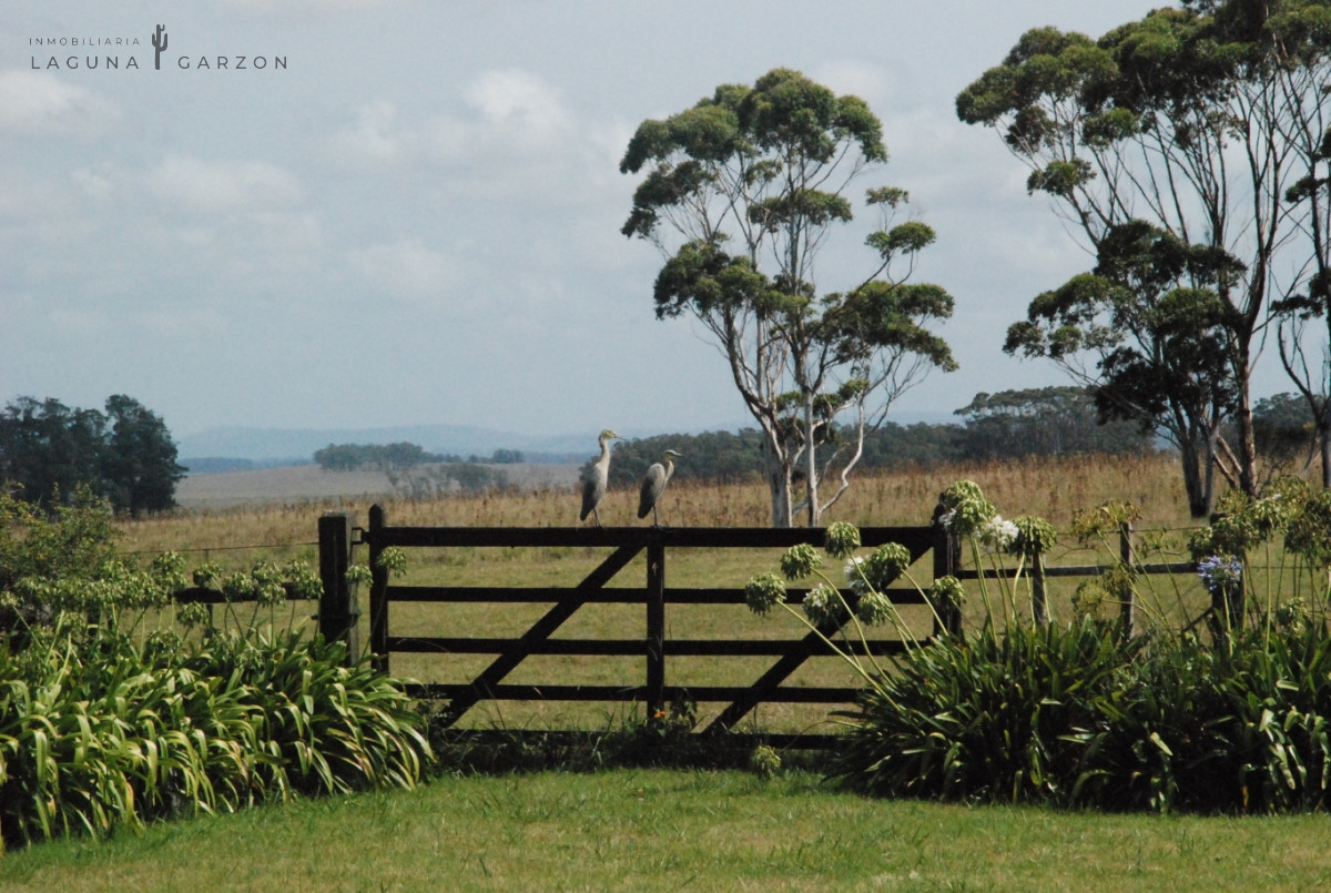 Campo Ref.82 - Campo Exclusivo sobre Laguna de Rocha con Vista al Océano Atlántico