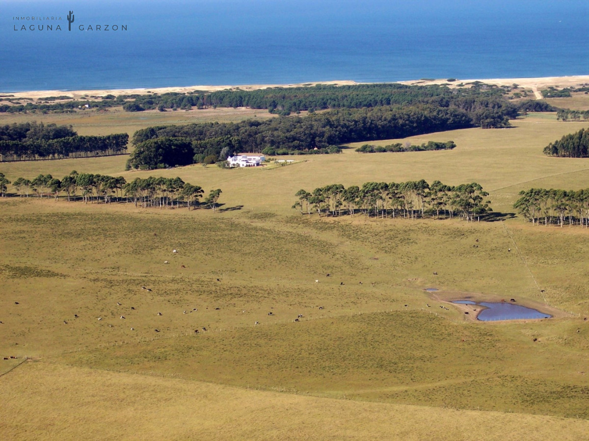 Campo Ref.82 - Campo Exclusivo sobre Laguna de Rocha con Vista al Océano Atlántico