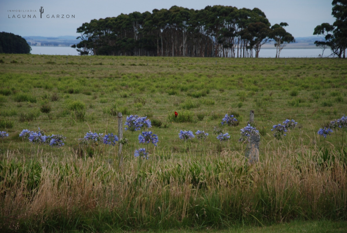 Campo Ref.82 - Campo Exclusivo sobre Laguna de Rocha con Vista al Océano Atlántico