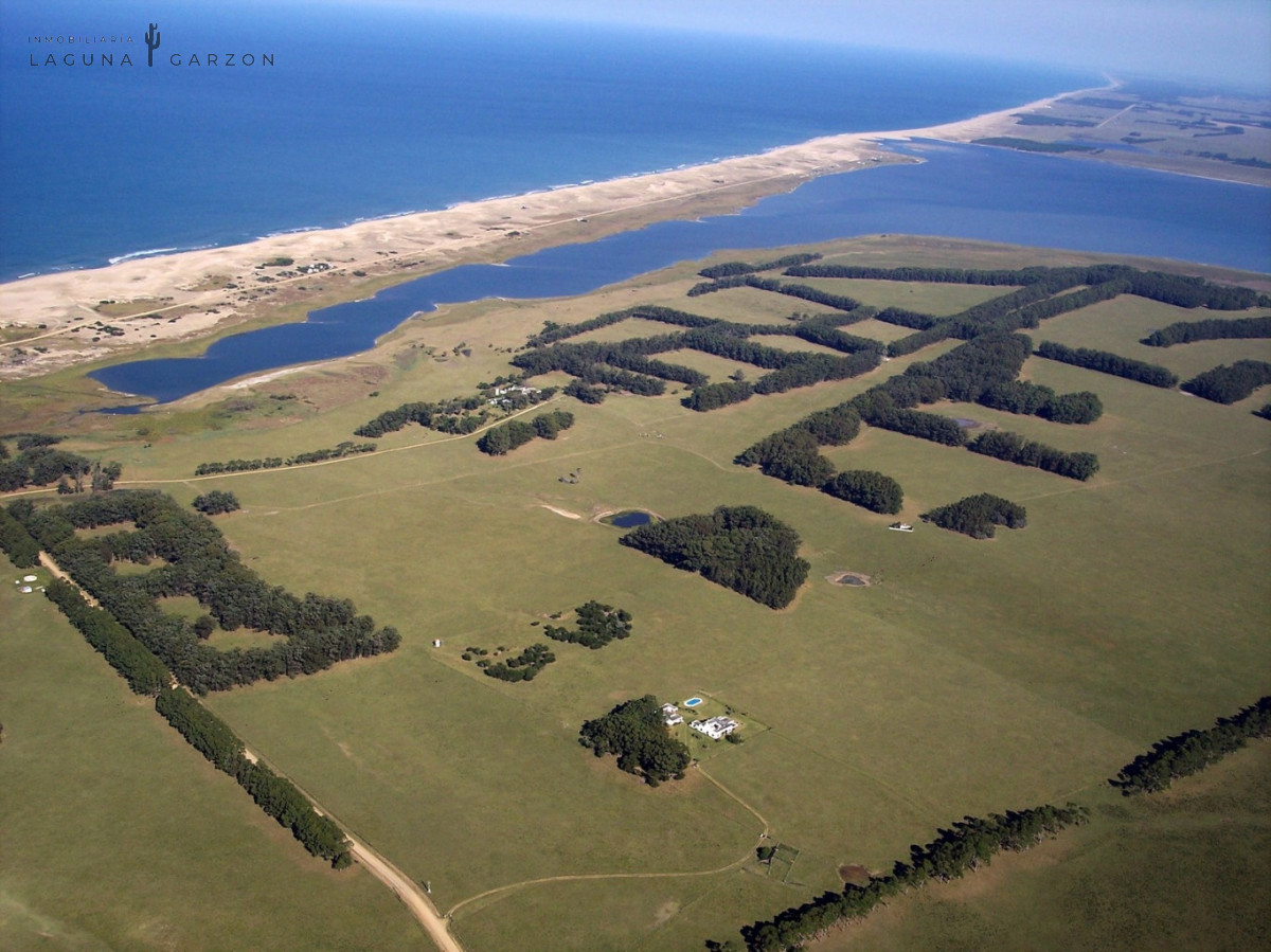 Campo Ref.82 - Campo Exclusivo sobre Laguna de Rocha con Vista al Océano Atlántico