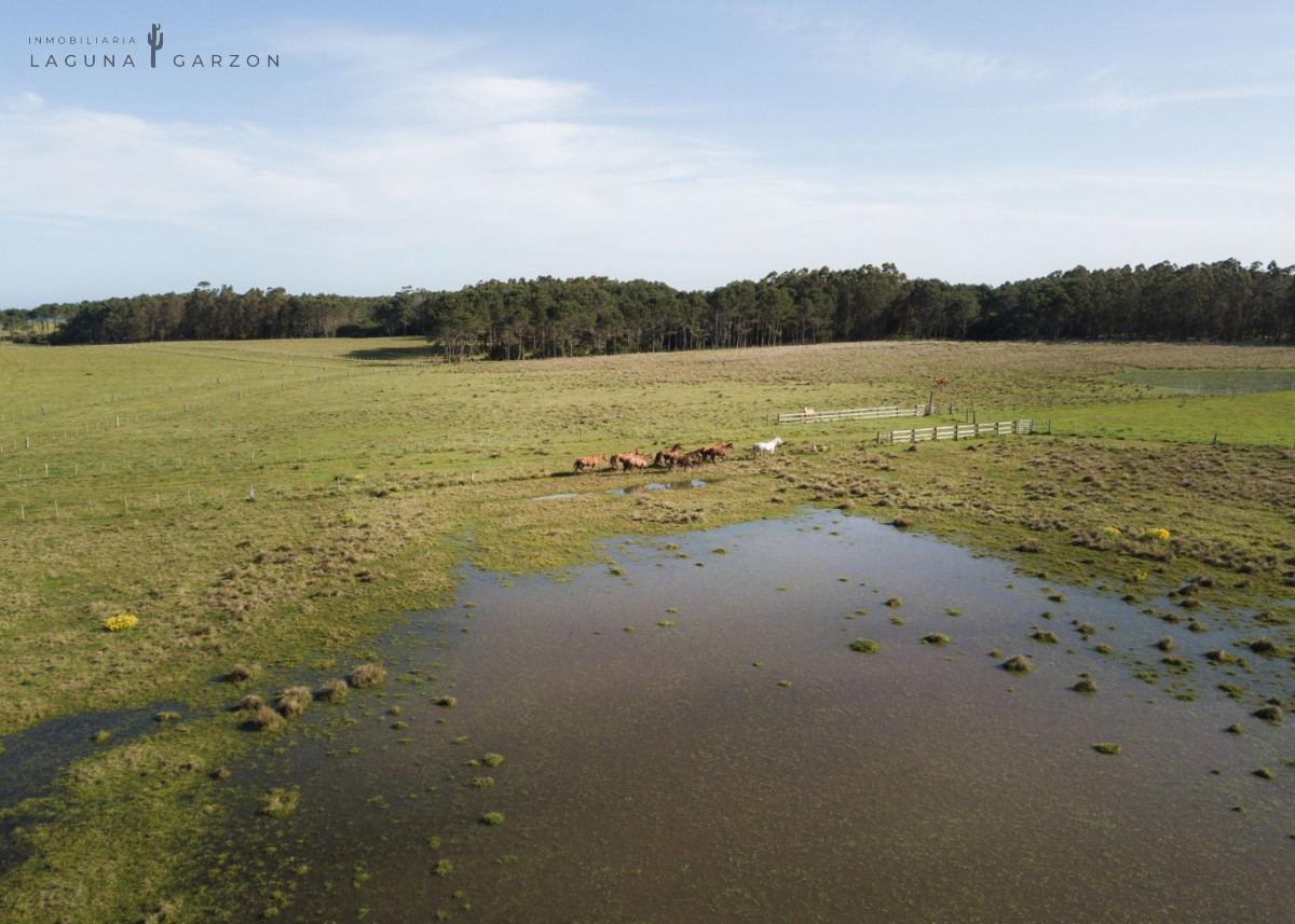 Campo Ref.83 - CAMPO 235 HAS Oceano Atlantico ROCHA