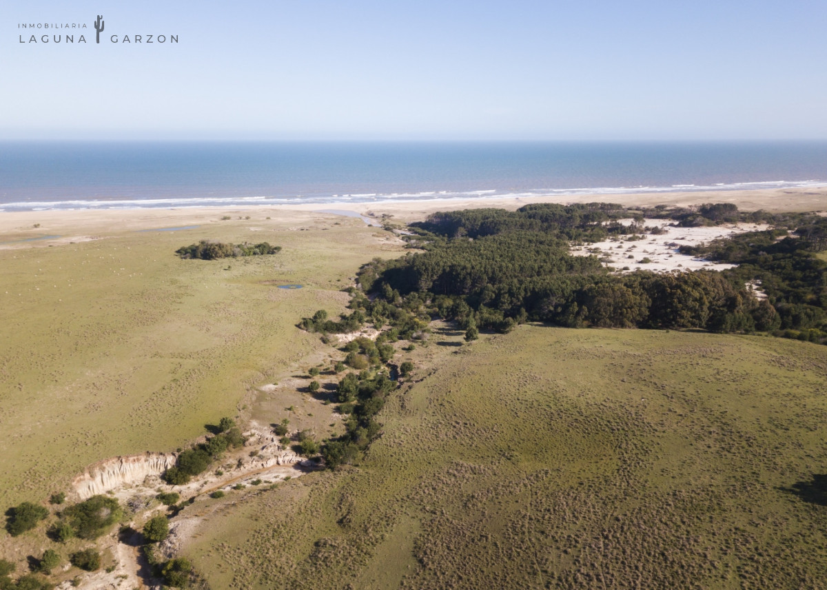 Campo Ref.83 - CAMPO 235 HAS Oceano Atlantico ROCHA