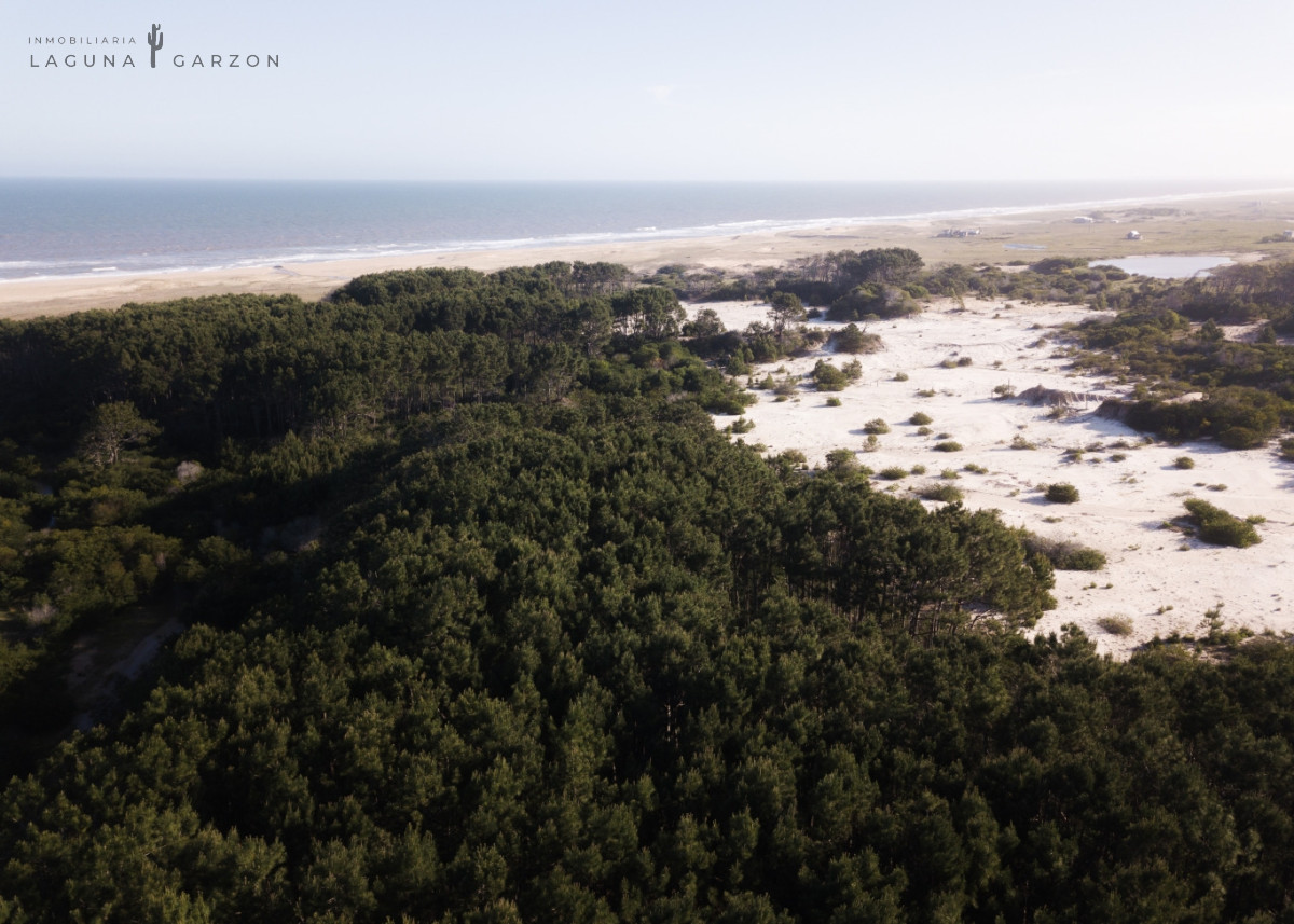 Campo Ref.83 - CAMPO 235 HAS Oceano Atlantico ROCHA